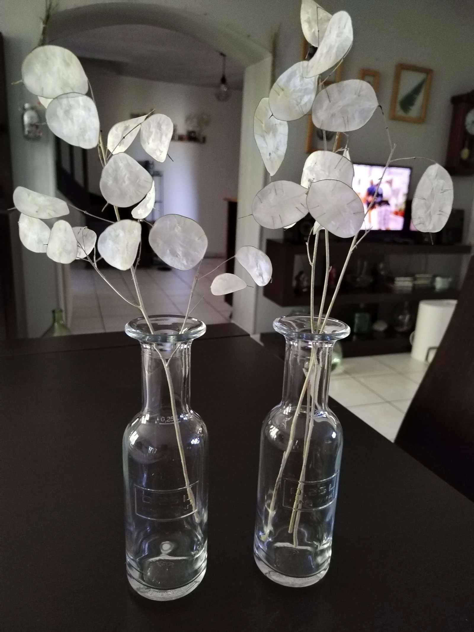 conjunto de 2 bonitos jarrones vintage con pequeñas ramas de monedas del papa secas. – photo 7